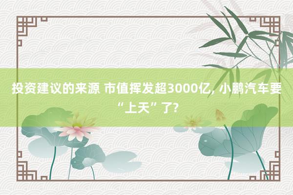 投资建议的来源 市值挥发超3000亿, 小鹏汽车要“上天”了?