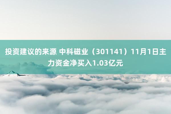 投资建议的来源 中科磁业（301141）11月1日主力资金净买入1.03亿元