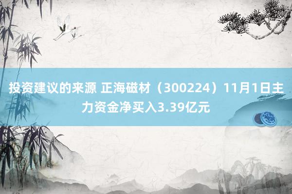 投资建议的来源 正海磁材（300224）11月1日主力资金净买入3.39亿元