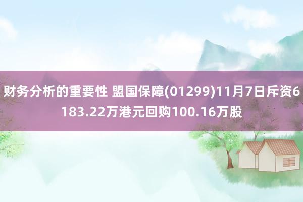 财务分析的重要性 盟国保障(01299)11月7日斥资6183.22万港元回购100.16万股