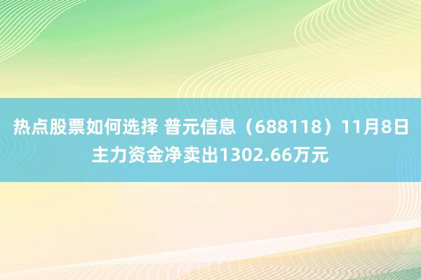 热点股票如何选择 普元信息（688118）11月8日主力资金净卖出1302.66万元