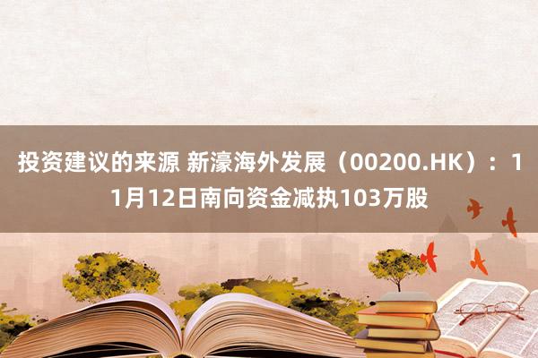 投资建议的来源 新濠海外发展（00200.HK）：11月12日南向资金减执103万股