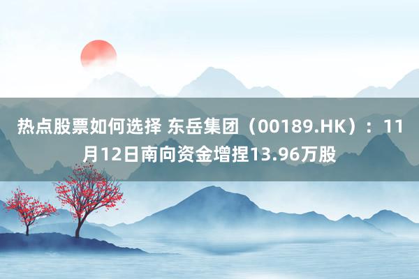 热点股票如何选择 东岳集团（00189.HK）：11月12日南向资金增捏13.96万股