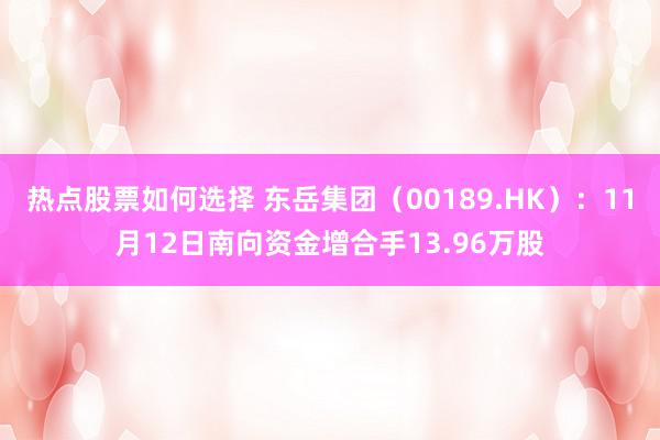 热点股票如何选择 东岳集团（00189.HK）：11月12日南向资金增合手13.96万股