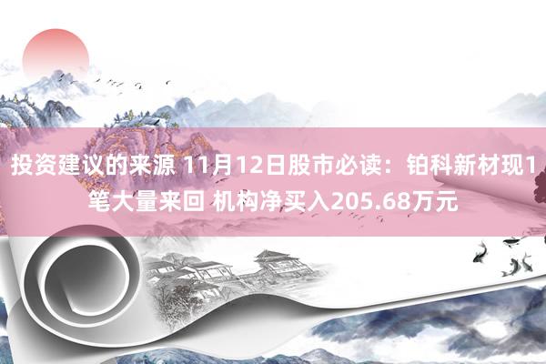 投资建议的来源 11月12日股市必读：铂科新材现1笔大量来回 机构净买入205.68万元