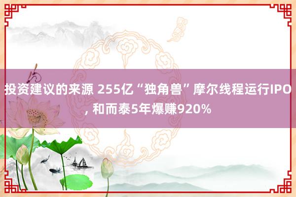 投资建议的来源 255亿“独角兽”摩尔线程运行IPO, 和而泰5年爆赚920%