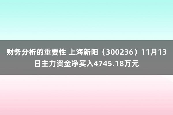 财务分析的重要性 上海新阳（300236）11月13日主力资金净买入4745.18万元