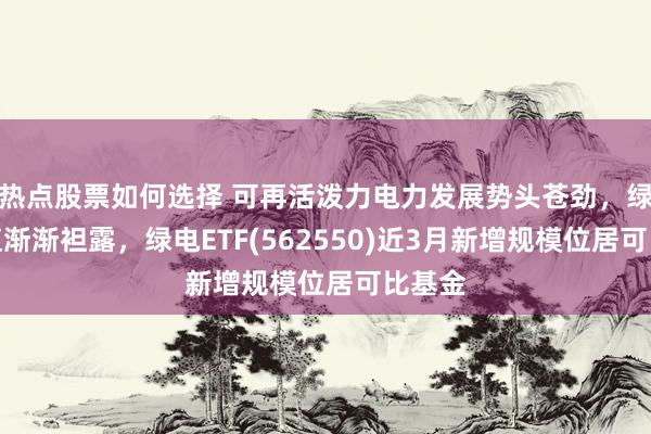 热点股票如何选择 可再活泼力电力发展势头苍劲，绿电价值渐渐袒露，绿电ETF(562550)近3月新增规模位居可比基金