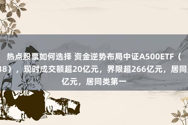 热点股票如何选择 资金逆势布局中证A500ETF（159338），现时成交额超20亿元，界限超266亿元，居同类第一