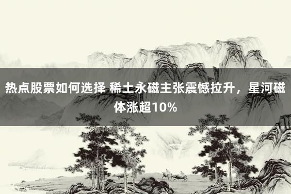 热点股票如何选择 稀土永磁主张震憾拉升，星河磁体涨超10%