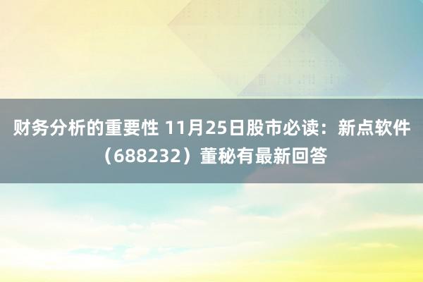 财务分析的重要性 11月25日股市必读：新点软件（688232）董秘有最新回答