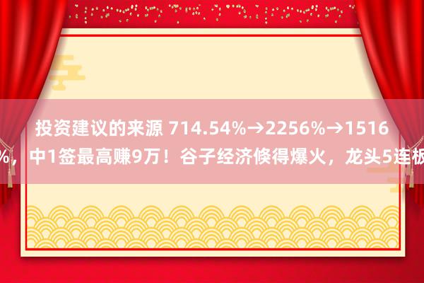 投资建议的来源 714.54%→2256%→1516%，中1签最高赚9万！谷子经济倏得爆火，龙头5连板