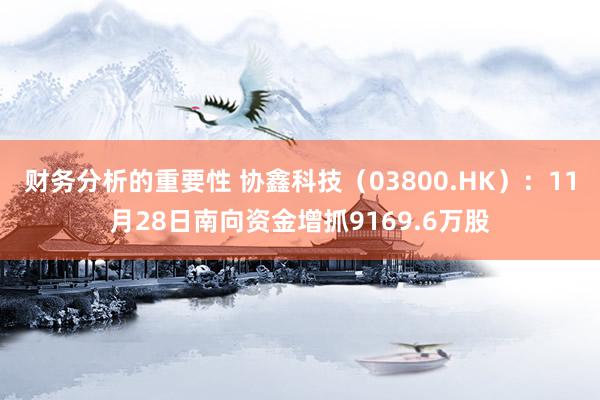 财务分析的重要性 协鑫科技（03800.HK）：11月28日南向资金增抓9169.6万股