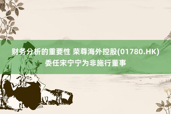 财务分析的重要性 荣尊海外控股(01780.HK)委任宋宁宁为非施行董事