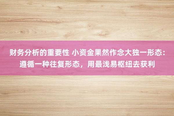 财务分析的重要性 小资金果然作念大独一形态：遵循一种往复形态，用最浅易枢纽去获利