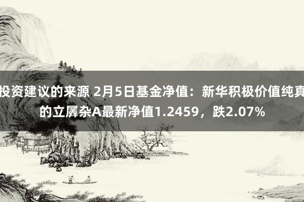 投资建议的来源 2月5日基金净值：新华积极价值纯真的立羼杂A最新净值1.2459，跌2.07%