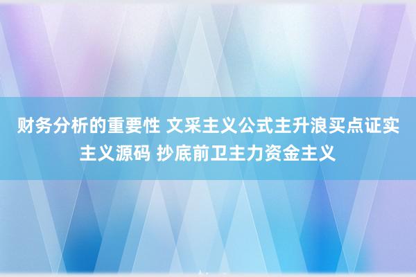 财务分析的重要性 文采主义公式主升浪买点证实主义源码 抄底前卫主力资金主义