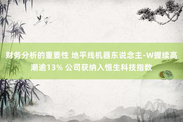 财务分析的重要性 地平线机器东说念主-W握续高潮逾13% 公司获纳入恒生科技指数