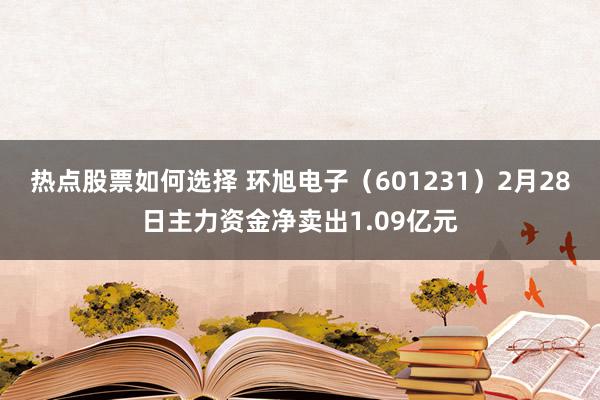 热点股票如何选择 环旭电子（601231）2月28日主力资金净卖出1.09亿元