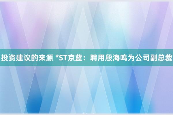 投资建议的来源 *ST京蓝：聘用殷海鸣为公司副总裁