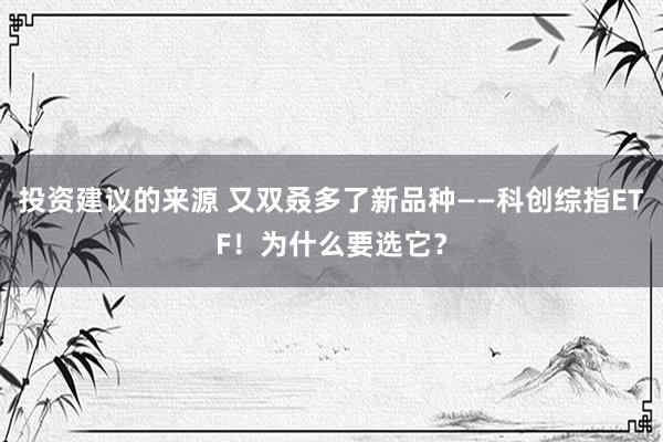 投资建议的来源 又双叒多了新品种——科创综指ETF！为什么要选它？