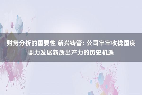 财务分析的重要性 新兴铸管: 公司牢牢收拢国度鼎力发展新质出产力的历史机遇